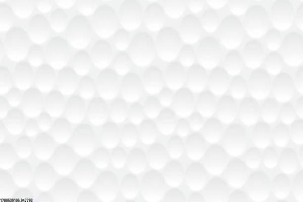 乐清九羊体育培训中心的课程与学员评价